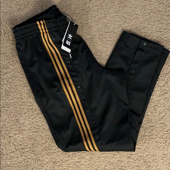 IVY PARK Other - 4All Track Pant x IVY PARK| Adidas X Ivy Park